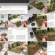 8001 FAQ dioramas pintura